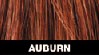 auburn.jpg (3107 byte)