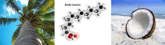 Olio di Cocco