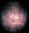 p5.gif (10028 byte)