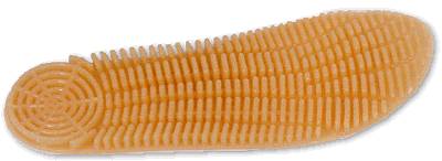 plantare.jpe (8609 byte)