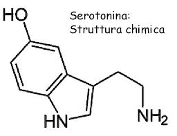 Serotonina molecola