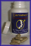 verom.jpg (14791 byte)